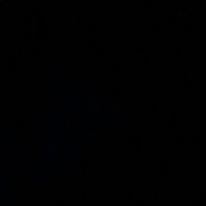 Meet your Posher, Eliza